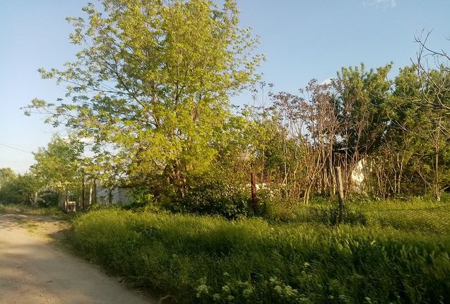 Сельская и городская молодежь в Саратовской области должны иметь равные возможности для активной жизни